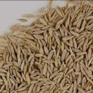 cumin (  kandhamal jeera ଜିରା)